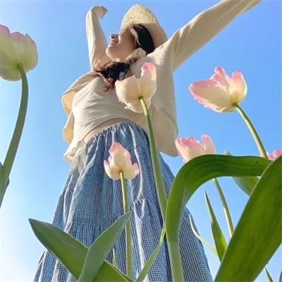 我在皇宫搞内卷